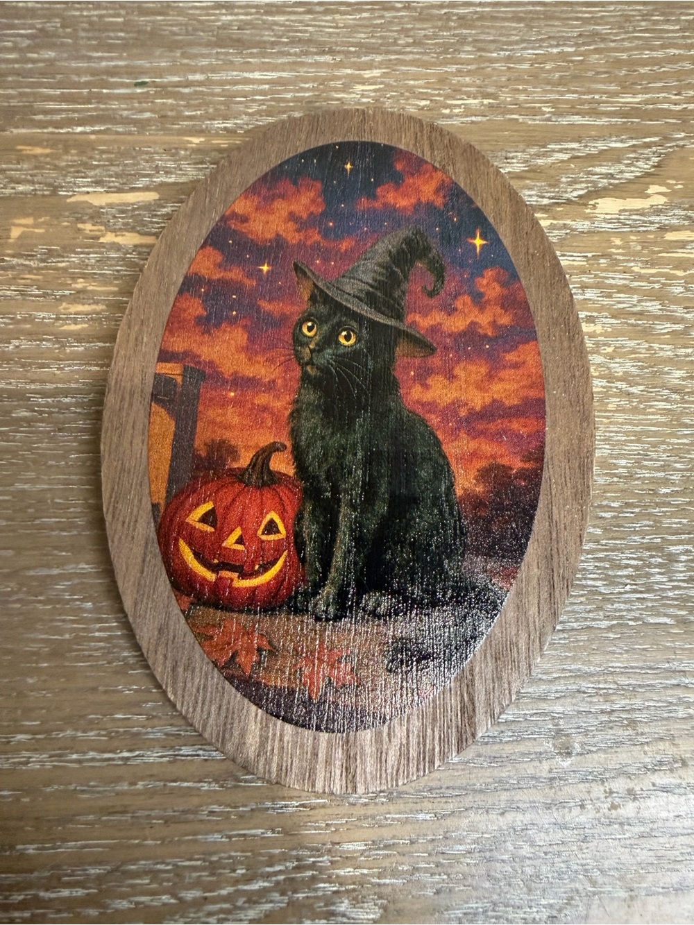 NEW 2026 Target Bullseye Playground Black Cat Halloween Wood Decor